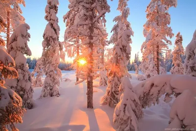 Красивые виды зимы (59 фото) - 59 фото