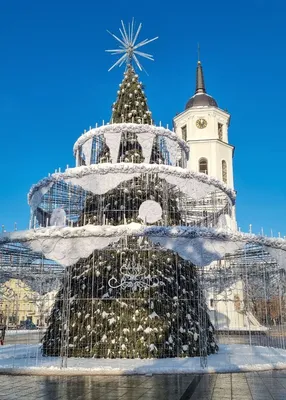 Вильнюс зимой фото фотографии