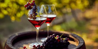 Вино и стейки - fortwine.ru