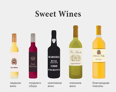 Как выбрать вино: как понять, какое вино лучше, как научиться отличать  каберне-совиньон от мерло