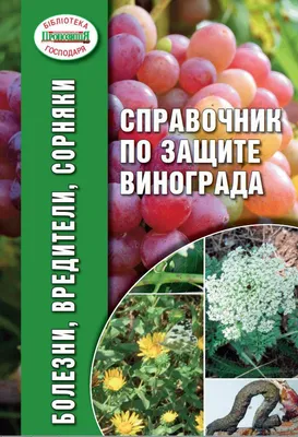 Болезни и вредители винограда | Diseases and pests of grapes - YouTube