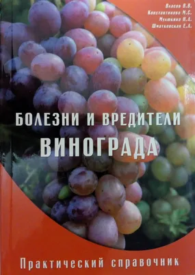 Мучнистая роса винограда или оидиум. Описание и методы лечения