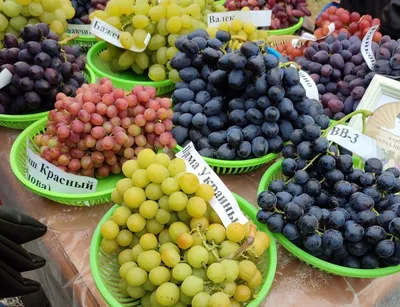 Обзор рынка столового винограда: в Италии минус 30% урожая, в Нидерландах -  нехватка качества, Перу поставит высокие объемы в Японию • EastFruit