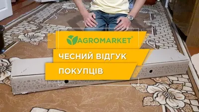 Виноград темный \"Зилга\" купить саженцы в Нижнем Новгороде.