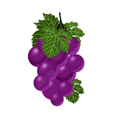 Виноград Виктор 3 ОКС (ID#820881806), цена: 80 ₴, купить на Prom.ua