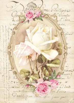 Vintage flowers. Винтажные цветы. PNG. | Винтажные цветы, Цветок, Цветы