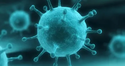 Сдать анализ на выявление рнк вирусов грипп а (influenza a) и грипп в  (influenza b) в г. Новый Уренгой - Поликлиника Сканер