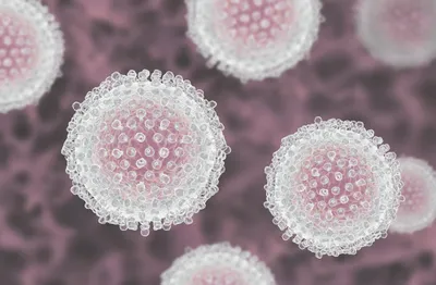 Вирусы и бактерии - факторы риска развития онкологических заболеваний