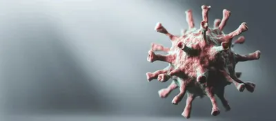 Вопросы и ответы о вирусе папилломы человека (ВПЧ) | Госпиталь Сант Жоан де  Деу Барселона