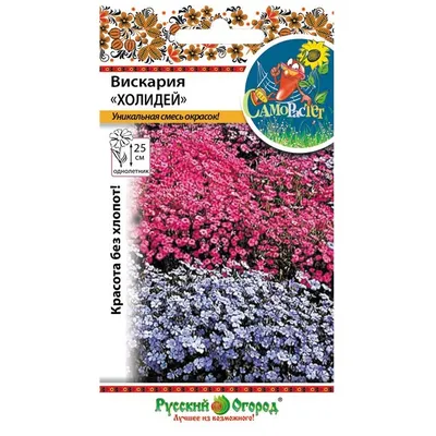 Купить Вискария Холидей - Семена в интернет магазине RassadaCity.ru