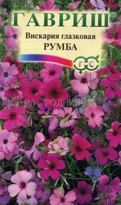 Вискария глазковая Румба семена