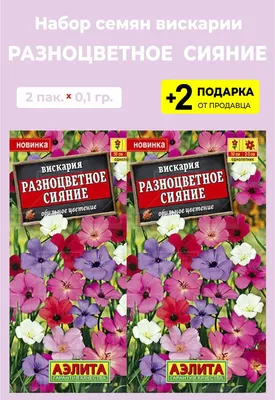 Вискария For Home And Family Разноцветное сияние - купить по выгодным ценам  в интернет-магазине OZON (996649049)