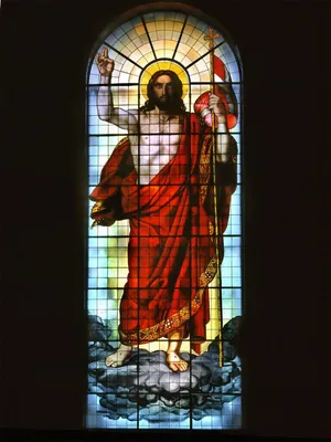 Витраж для двери Фиалки | Stained glass flowers, Stained glass door,  Stained glass designs