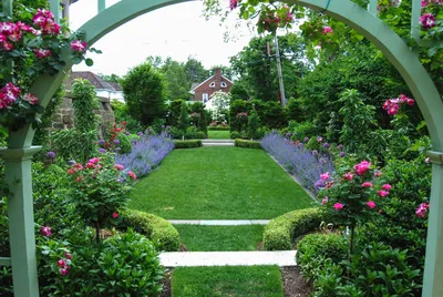 Вьющиеся розы как украшение вашего сада, 15 фото. Красивые интерьеры и  дизайн