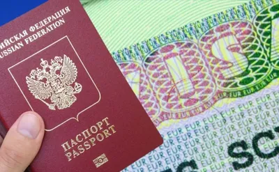 Получение финской визы россиянами растянется до пяти месяцев, заявила АТОР  - РИА Новости, 18.08.2022
