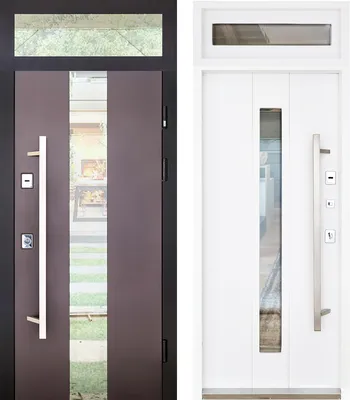 Нестандартная входная уличная дверь со стеклом и фрамугой 1-70 от  производителя – цена, описание | Винчелли