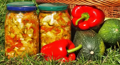 Вкусные салаты из кабачков на зиму - полезные статьи о садоводстве от  Agro-Market24