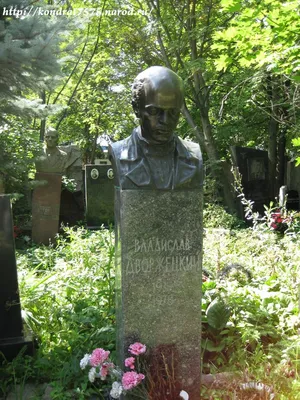 Впечатляющие фото Владислава Дворжецкого: бесплатно и в отличном качестве
