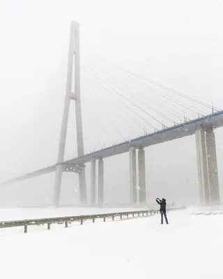 Обычный снегопад во Владивостоке. | Пикабу
