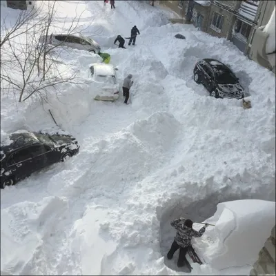 Зима во Владивостоке (8 фото)