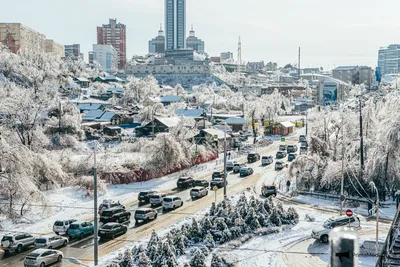 Климат Владивостока - инфо для ПМЖшников и туристос | Пикабу