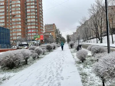 Это конец света?\" Иностранцев ужаснули зимние кадры из Владивостока - РИА  Новости, 01.12.2021