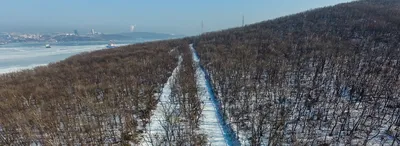 Прокатиться с ветерком: зимний Владивосток летит с горки - фоторепортаж