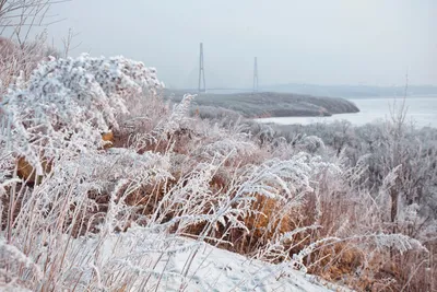 Владивосток зимой» — создано в Шедевруме