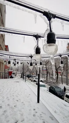 Сказочный сквер \"Зима в Простоквашино\" открыли во Владивостоке новогодним  праздником - UssurMedia.ru