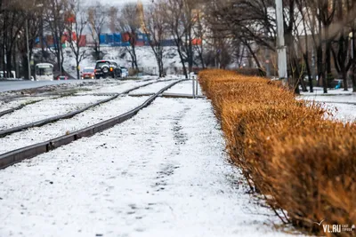 Ледяной дождь во Владивостоке: посмотрите 12 фотографий - Милосердие.ru