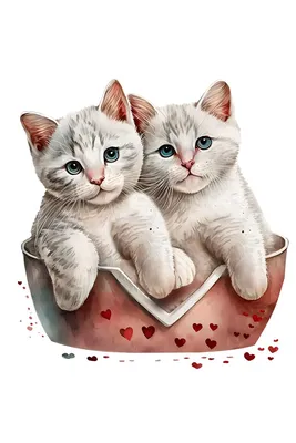Изображения влюбленных кошек: выберите размер и формат