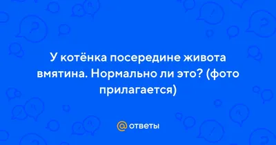Добавочный сосок молочной железы, или папиллома кожи? – тема научной статьи  по клинической медицине читайте бесплатно текст научно-исследовательской  работы в электронной библиотеке КиберЛенинка