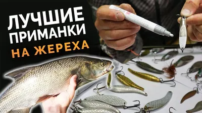 Воблер Крэнк (Crank) Mottomo Chubber DR 36F, 1.2-1.6 м купить по выгодной  цене в интернет-магазине OZON (672738632)