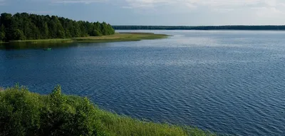 Вода Asu Мята 1л из раздела Воды минеральные, питьевые