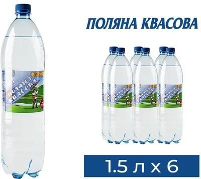 Вода Поляна Квасова 1,5л Целебная газ ПЭТ - купить в Севастополе с  доставкой на дом | МЕРКУРИЙ