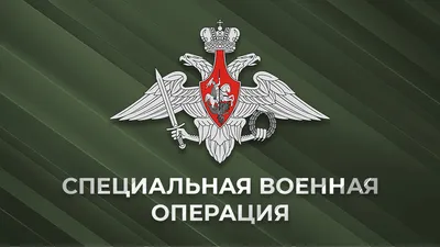 Военные Германии и Японии отметили исторический смысл совместных полетов |  ИА Красная Весна