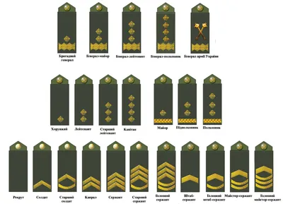 Погоны, Воинские Звания И Знаки Отличия Иллюстрация На Белом Фоне Клипарты,  SVG, векторы, и Набор Иллюстраций Без Оплаты Отчислений. Image 15908767