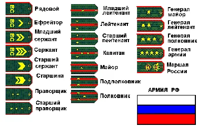 Стенд \"Воинские звания и знаки различия\" (размер: 900x1200 мм). Купить.  Цена 1 850,00 ₽ в интернет-магазине Формула Защиты