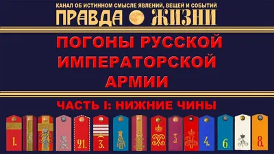 воинские звания / смешные картинки и другие приколы: комиксы, гиф анимация,  видео, лучший интеллектуальный юмор.