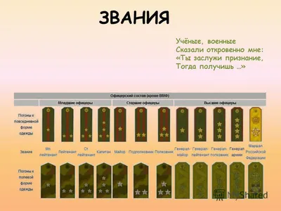 Воинские звания армии России: какие погоны и знаки различия у военнослужащих