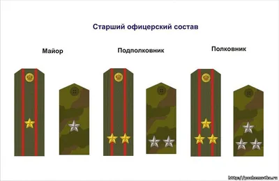 Новые форма, погоны, знаки различия: как будет выглядеть обновленная  украинская армия - Днепр Инфо