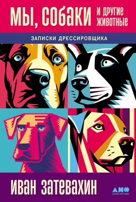 Чёрному лабрадору, родившемуся с заячьей губой, сделали операцию