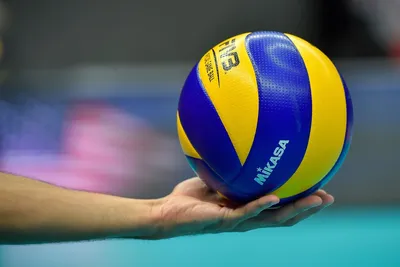 Wilson AVP ARX Волейбольный Мяч Желтый| Volleyball Мячи