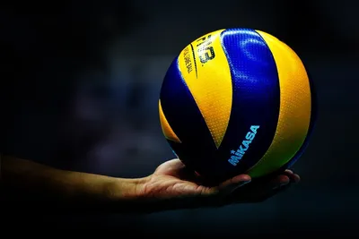 Мяч волейбольный IMO myachvoleybol2, 5 размер; белый - купить по выгодной  цене в интернет-магазине OZON (948347424)