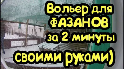 вольеры с тамбуром для белки | - Домики и вольеры для питомца.