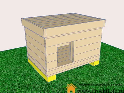 Будка для лайки. Размеры, чертежи. Сделать своими руками!