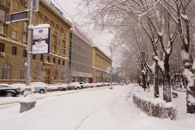 Ехать ли в Волгоград зимой? — Toyota Land Cruiser 200, 4,5 л, 2016 года |  путешествие | DRIVE2