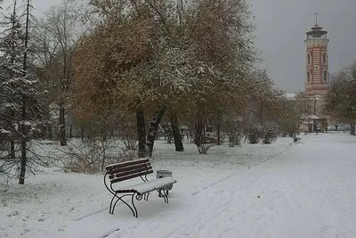 Погода и климат Волгограда
