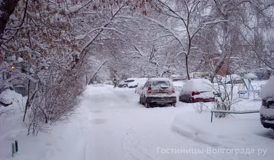 Сюжет: На Волгоград обрушился аномальный снегопад - новости Волгограда |  «Городские вести»