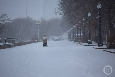 Синоптики рассказали, какой будет зима в Волгограде - 7 декабря 2023 - v1.ru